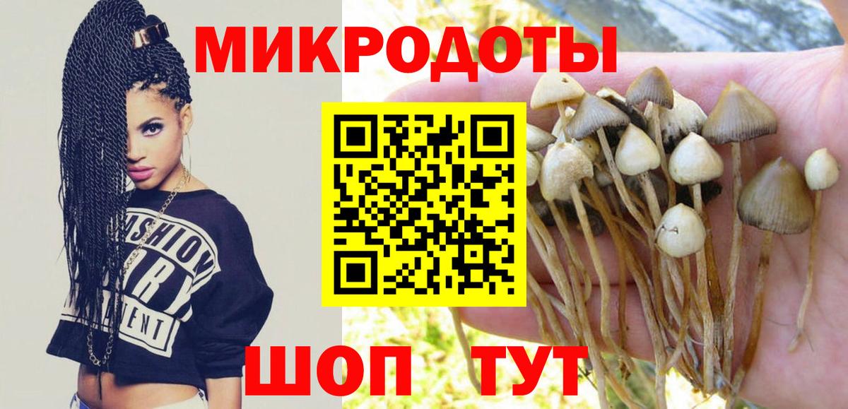 Галлюциногенные грибы GOLDEN TEACHER Павлово
